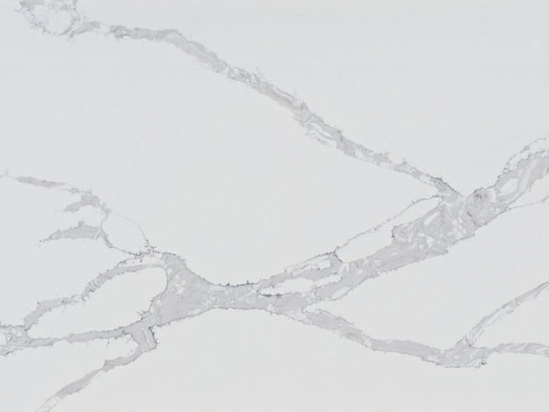 Y04 (3)