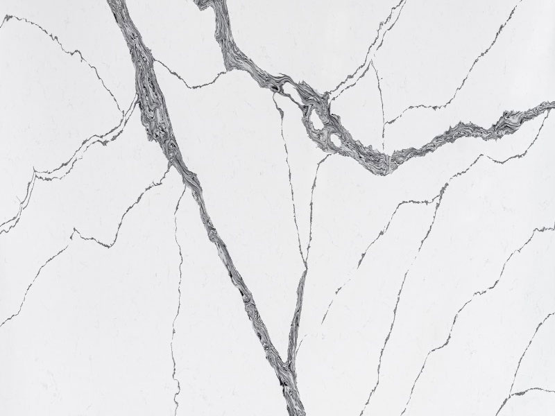 Y09 (2)